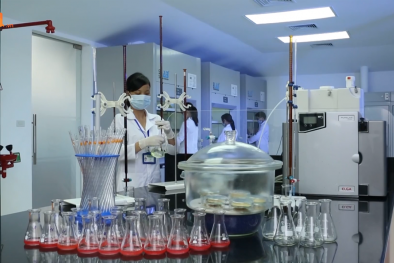 Tăng cường kết nối DN FDI và DN nội thúc đẩy tăng năng suất