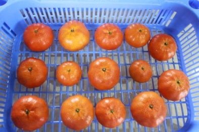 Nâng cao chất lượng, màu sắc nông sản nhờ ứng dụng màng sinh học