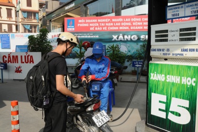 Xăng E5 ra thị trường: Đảm bảo tiêu chuẩn và tự hào hàng Việt