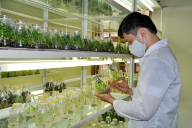 Nhiều ứng dụng khoa học công nghệ góp phần nâng cao giá trị nông sản