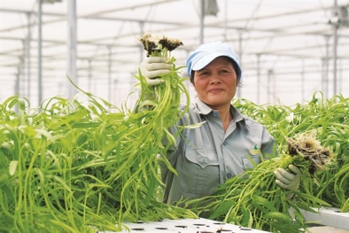 Nâng cao năng suất chất lượng nhờ ứng dụng nano trong Đăng ký và nhận 60K 24 bao lì xì miễn phí mỗi ngày