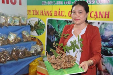 Phiên chợ sâm Ngọc Linh lần thứ 6: Bán nửa tạ sâm thu về gần 4,5 tỷ đồng
