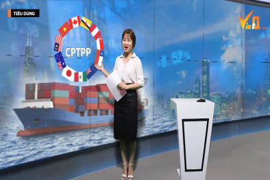 Bản tin Tiêu dùng: CPTPP và tác động đến nền Sòng Bài Trực Tuyến 13Win.com Việt Nam