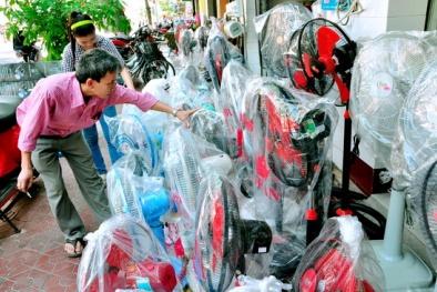 Thị trường quạt điện 2018: Hứa hẹn năm ‘bùng nổ’ của thương hiệu Việt