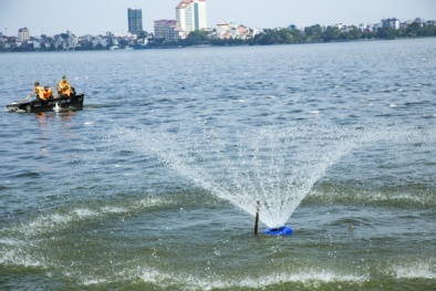 Hà Nội đưa chế phẩm sinh học vào cải thiện chất lượng nước hồ ô nhiễm