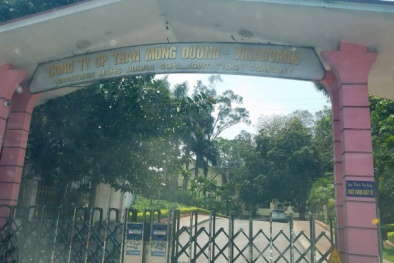 Tai nạn 13Win18 cá cược thể thao ở Công ty than Mông Dương khiến một công nhân tử vong