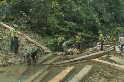 Quảng nam: Rừng phòng hộ bị ‘xẻ thịt’, nhiều lãnh đạo bị kỷ luật