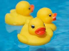 Phát hiện cả ổ siêu vi trùng gây bệnh cho trẻ trong loại đồ chơi vịt cao su