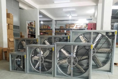 Thị trường quạt 13Win15 com - Thương hiệu nhà cái uy tín: Hàng Việt Nam chiếm ưu thế