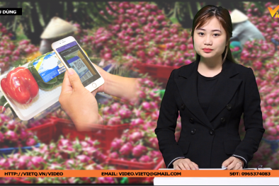 Bản tin Tiêu dùng: Người tiêu dùng online cẩn trọng trước hàng loạt rủi ro