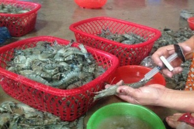 Quảng Ninh: Bắt giữ 360 kg chất phụ gia, có nguồn gốc xuất xứ từ Trung Quốc