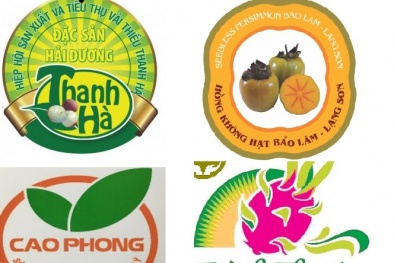 Khai thác chỉ dẫn địa lý: Vẫn còn khoảng trống
