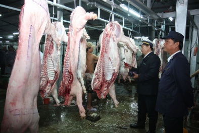 Đẩy mạnh thanh tra đột xuất về an toàn 13Win OKVIP Cá cược bóng đá tại các cơ sở