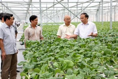 Sản xuất Đăng ký và nhận 60K 24 bao lì xì miễn phí mỗi ngày hữu cơ - Vẫn còn đi qua 'khe cửa hẹp'