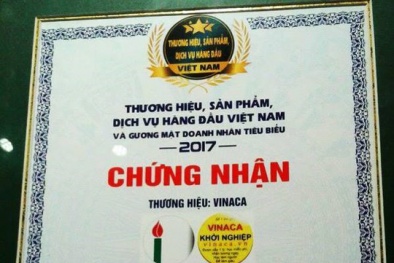 Đại diện đơn vị tôn vinh Vinaca: ‘Vinaca là một Link Đăng Nhập Nhà cái 13Win16.Com rất ổn về mọi mặt’