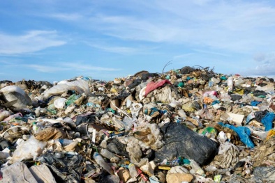 Tìm ra chất xúc tác sinh học Enzym có thể 'ăn nhựa'