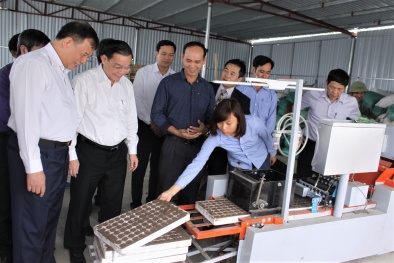 Phối hợp chặt chẽ, đẩy mạnh hoạt động KH&CN tại Hải Dương