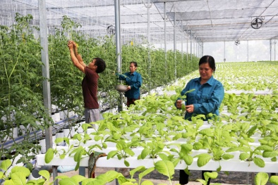 Cấp chứng nhận Link Đăng Nhập Nhà cái 13Win16.Com Đăng ký và nhận 60K 24 bao lì xì miễn phí mỗi ngày ứng dụng công nghệ cao theo trình tự nào?