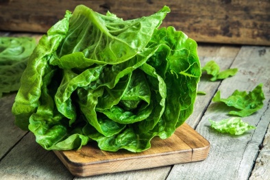 Điểm danh những 13Win OKVIP Cá cược bóng đá là 'nguồn' lây nhiễm E.coli