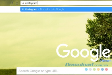 Thủ thuật xử lý lỗi gõ tiếng Việt trên thanh địa chỉ Google Chrome 