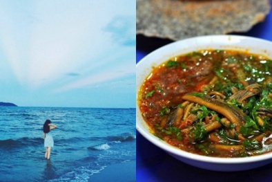 Kinh nghiệm du lịch Nghệ An từ A-Z cho chuyến 'chạy trốn' đến biển xanh