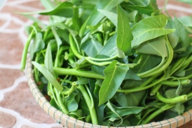 Cách làm những món ngon từ rau muống