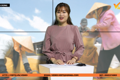 Bản tin Tiêu dùng: Thị trường gạo xuất khẩu đang diễn biến tích cực 