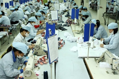 Xóa 'rào cản' xuất khẩu sang Hoa Kỳ: Cần sự chung tay giữa các DN Việt