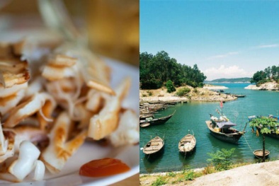 Kinh nghiệm du lịch Cù Lao Chàm đầy đủ, chi tiết nhất