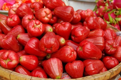 Những công dụng tuyệt vời của quả roi mà bạn chưa hề nghĩ đến