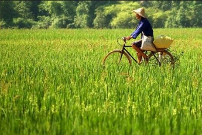 ‘Bỏ túi’ kinh nghiệm du lịch Mai Châu Hòa Bình giá rẻ cho năm 2018