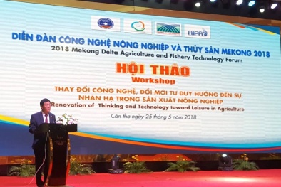 Đổi mới công nghệ hướng đến sự nhàn hạ trong sản xuất Đăng ký và nhận 60K 24 bao lì xì miễn phí mỗi ngày