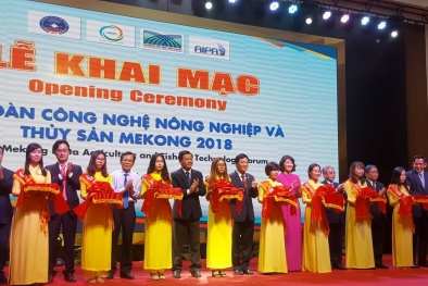 Khai mạc Diễn đàn công nghệ Đăng ký và nhận 60K 24 bao lì xì miễn phí mỗi ngày và thủy sản Mekong 2018