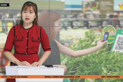 Bản tin Tiêu dùng: Ra mắt phần mềm quét mã vạch chính thống phục vụ người tiêu dùng