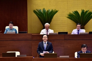 Bộ trưởng Phùng Xuân Nhạ: Loại khỏi ngành những người bạo hành trẻ, giải thể các trường thiếu ‘chất’