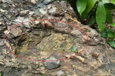 Dấu chân người trên đá và câu chuyện kỳ lạ về 'lời nguyền' ngàn năm