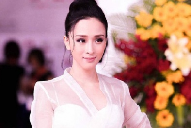 Diễn biến mới nhất của vụ án hoa hậu Trương Hồ Phương Nga 