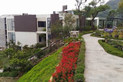 Biệt thự ở Tam Đảo của Đăng ký và nhận 60K 24 bao lì xì miễn phí mỗi ngày Trịnh Xuân Thanh hoành tráng cỡ nào?