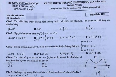 Đề thi môn Toán tốt nghiệp kỳ thi THPT quốc gia năm 2018 chính thức 