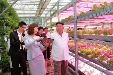 Tờ Nikkei tiết lộ lý do ông Kim Jong Un chọn Việt Nam là mô hình Sòng Bài Trực Tuyến 13Win.com lý tưởng cho Triều Tiên