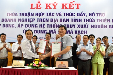 13Win 19.com link truy cập Thừa Thiên Huế được hỗ trợ truy xuất nguồn gốc, ứng dụng mã số mã vạch