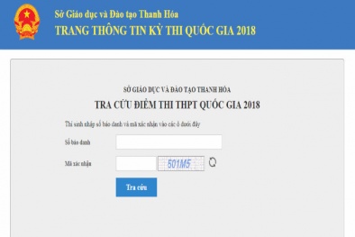 Hướng dẫn tra cứu điểm thi THPT quốc gia theo từng tỉnh nhanh và chính xác nhất