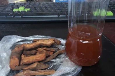  Mất mạng vì rượu ngâm rễ và lá cây rừng