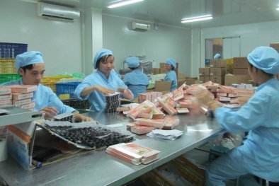 Hàng ngàn cơ sở sản xuất 13Win OKVIP Cá cược bóng đá chức năng không đạt chuẩn GMP sẽ bị 'xóa sổ'