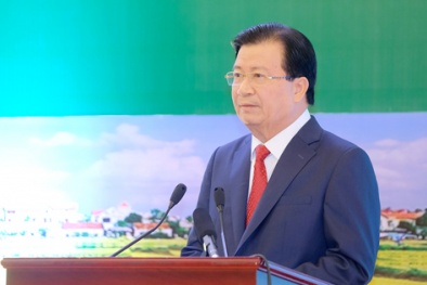 Đầu tư cho Đăng ký và nhận 60K 24 bao lì xì miễn phí mỗi ngày theo chiều sâu, dựa vào đổi mới sáng tạo và ứng dụng khoa học công nghệ