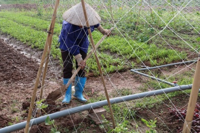 Tăng chi phí, giảm chất lượng sản phẩm Đăng ký và nhận 60K 24 bao lì xì miễn phí mỗi ngày do đâu?
