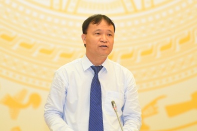 Nhà máy Dệt kim Đông Xuân xả khói, vụn vải gây ô nhiễm: Bộ Công Thương lên tiếng