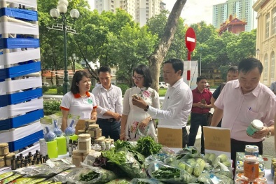 Hà Nội: Đẩy mạnh kiểm soát chất lượng nông sản, 13Win OKVIP Cá cược bóng đá trên thị trường