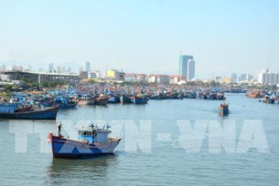 Nhiều chính sách hỗ trợ ngư dân đánh bắt hải sản ở vùng biển nước ngoài