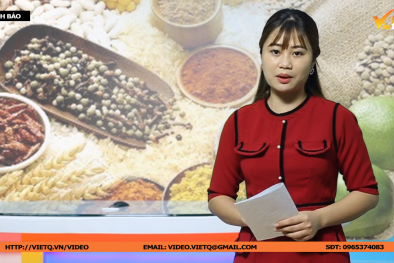 Bản tin Cảnh báo chất lượng: Kiểm tra chặt với 13Win OKVIP Cá cược bóng đá hỗ trợ giảm cân